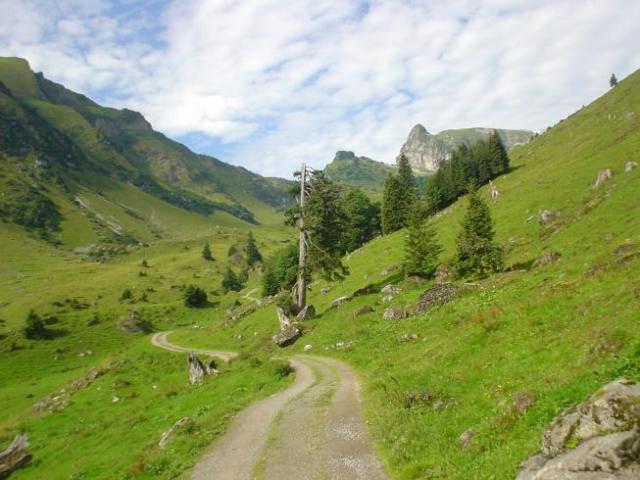 Švýcarsko, srpen 2005 > DSC07148