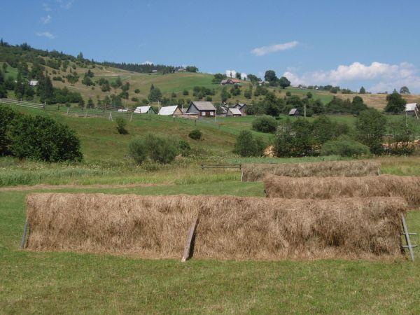 Ukrajina, červenec 2007 > ua (482)