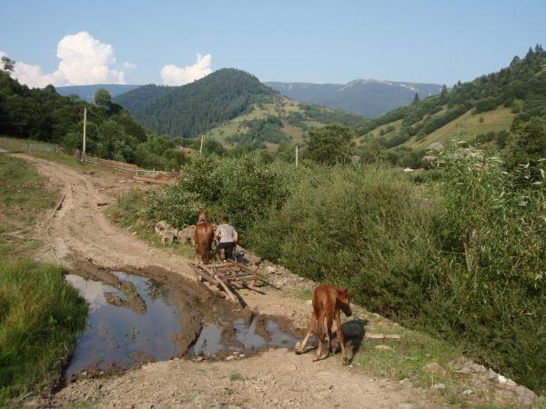 Ukrajina, červenec 2007 > ua (687)